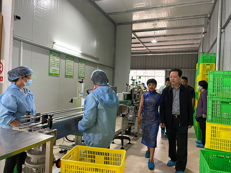 省人大常委副主任劉曉鳴率調(diào)研組前來我公司調(diào)研 湖北山茶油廠家