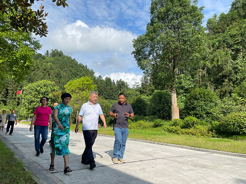 湖北山茶油廠家