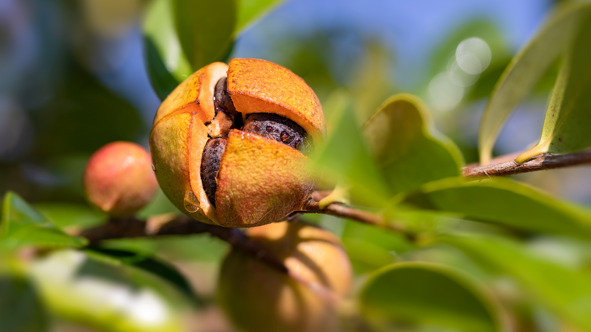 IMG_8230_1920_169.jpg IMG_8230_1920_169.jpg