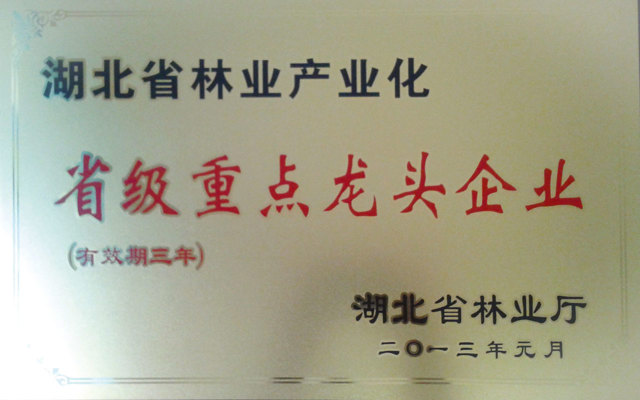 省級重點龍頭企業(yè)