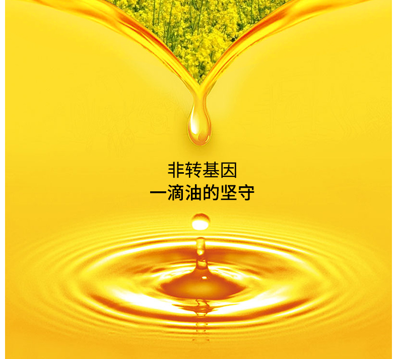 菜籽油詳情_(kāi)04.jpg