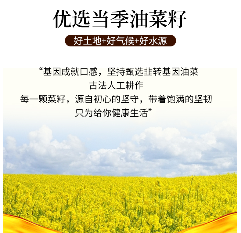 菜籽油詳情_(kāi)03.jpg