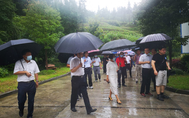 2020年7月1日省人大胡主任一行領(lǐng)導(dǎo)來司調(diào)研