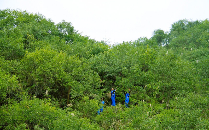 微信圖片_20240529152624.jpg 微信圖片_20240529152624.jpg